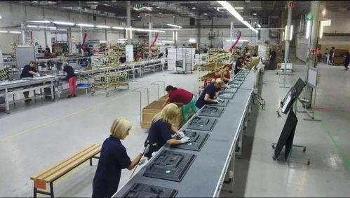 成都青白江 以開放產業為核心，推動集裝箱購銷高質量發展